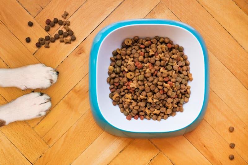 Pet Food
