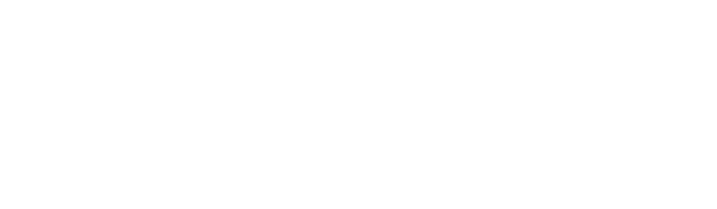 WAVE Logo White 1024