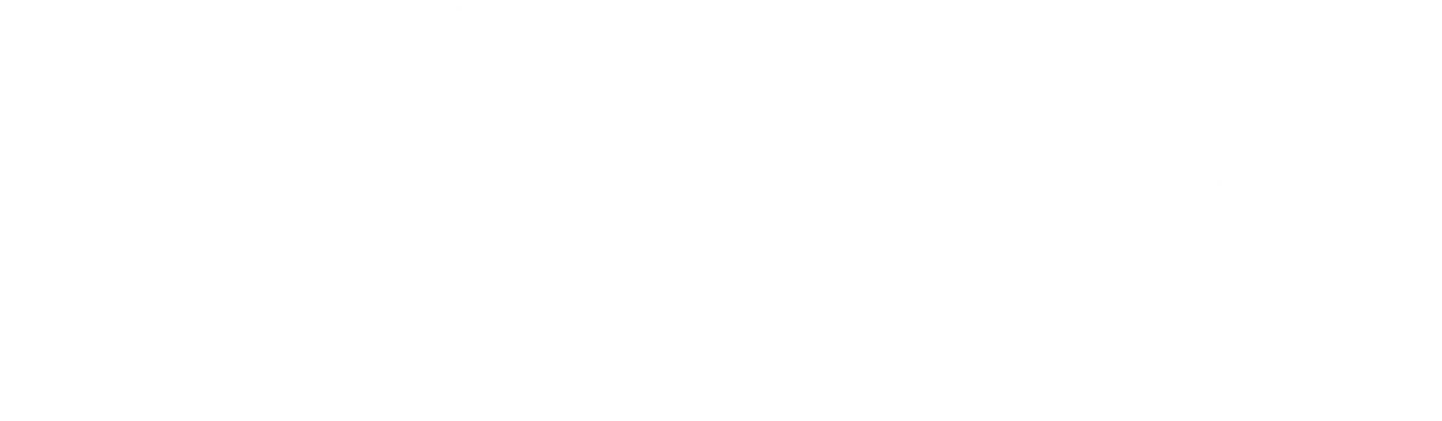 WAVE Logo White 2048